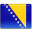 Bosnia flag